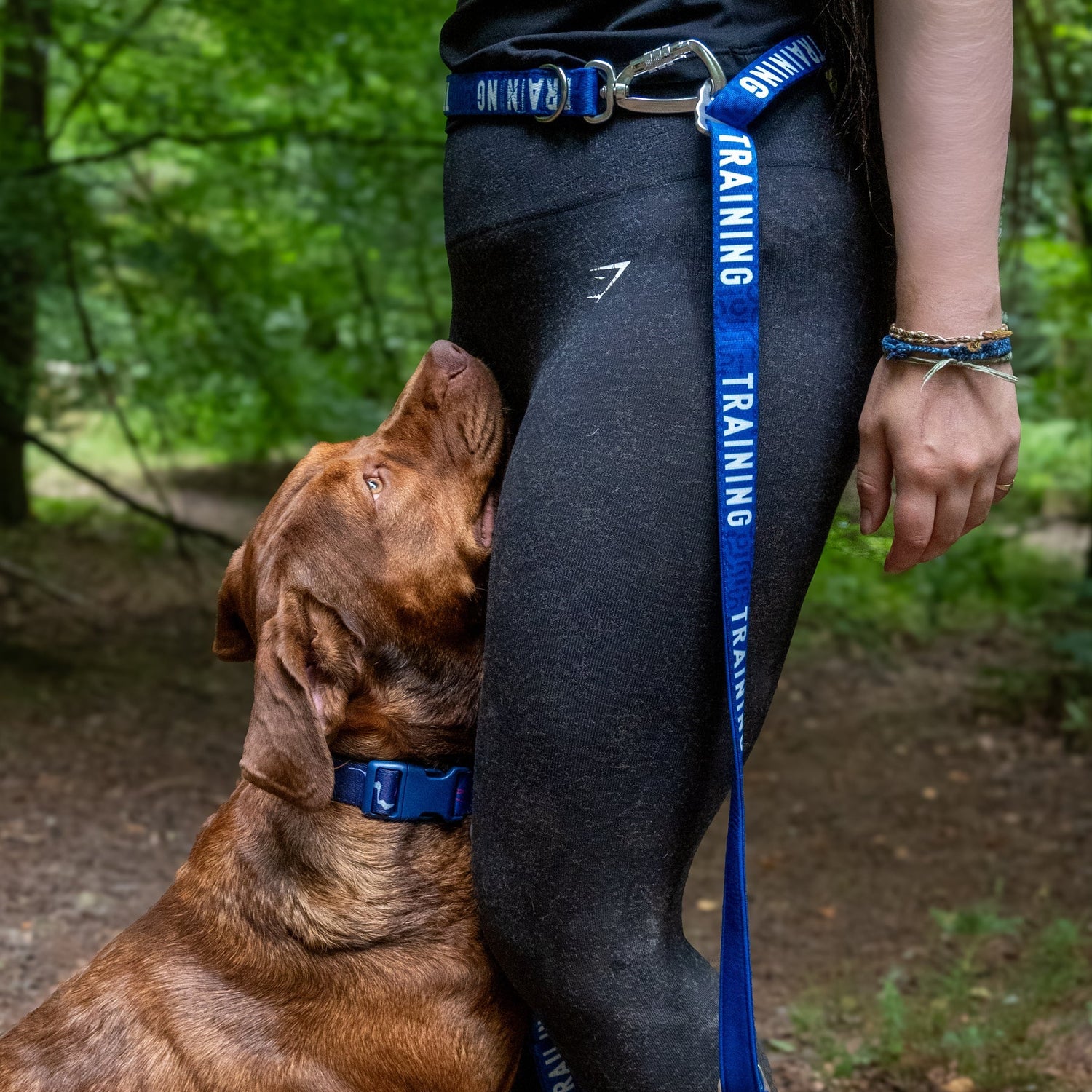 Twiggy Tags | Awareness Multi-Way Lead