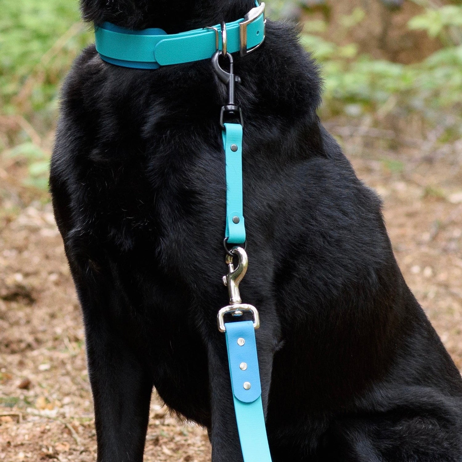 Collier de fixation