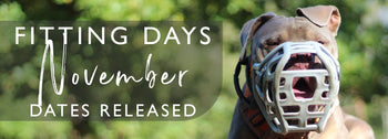 Dog wearing a muzzle with text about fitting days in November on a blurred natural background