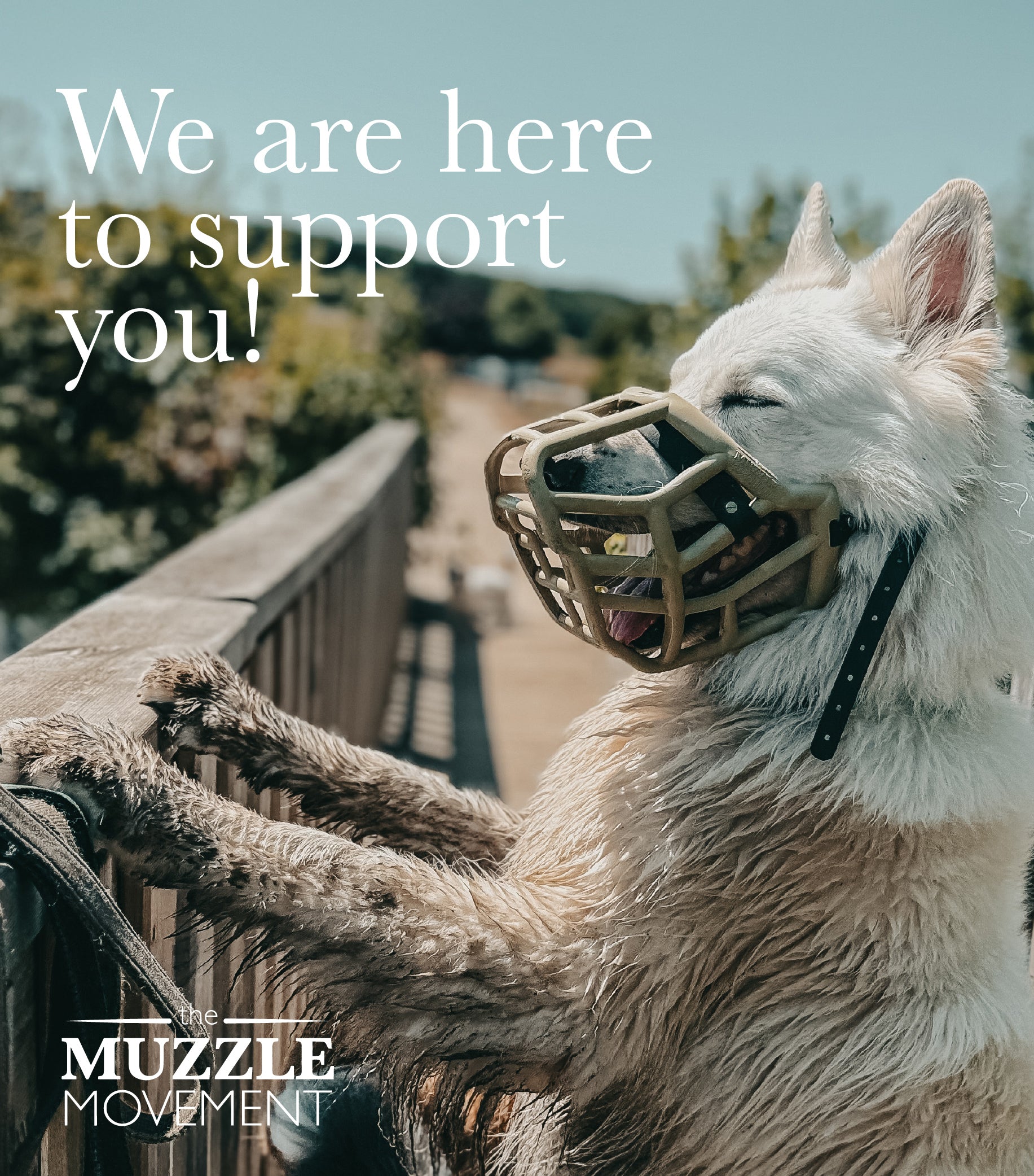 We are here to support you — The Muzzle Movement