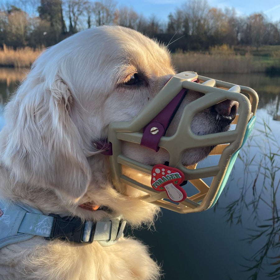 Snooties™ –   Forager Mushroom Snootie Muzzle Charm