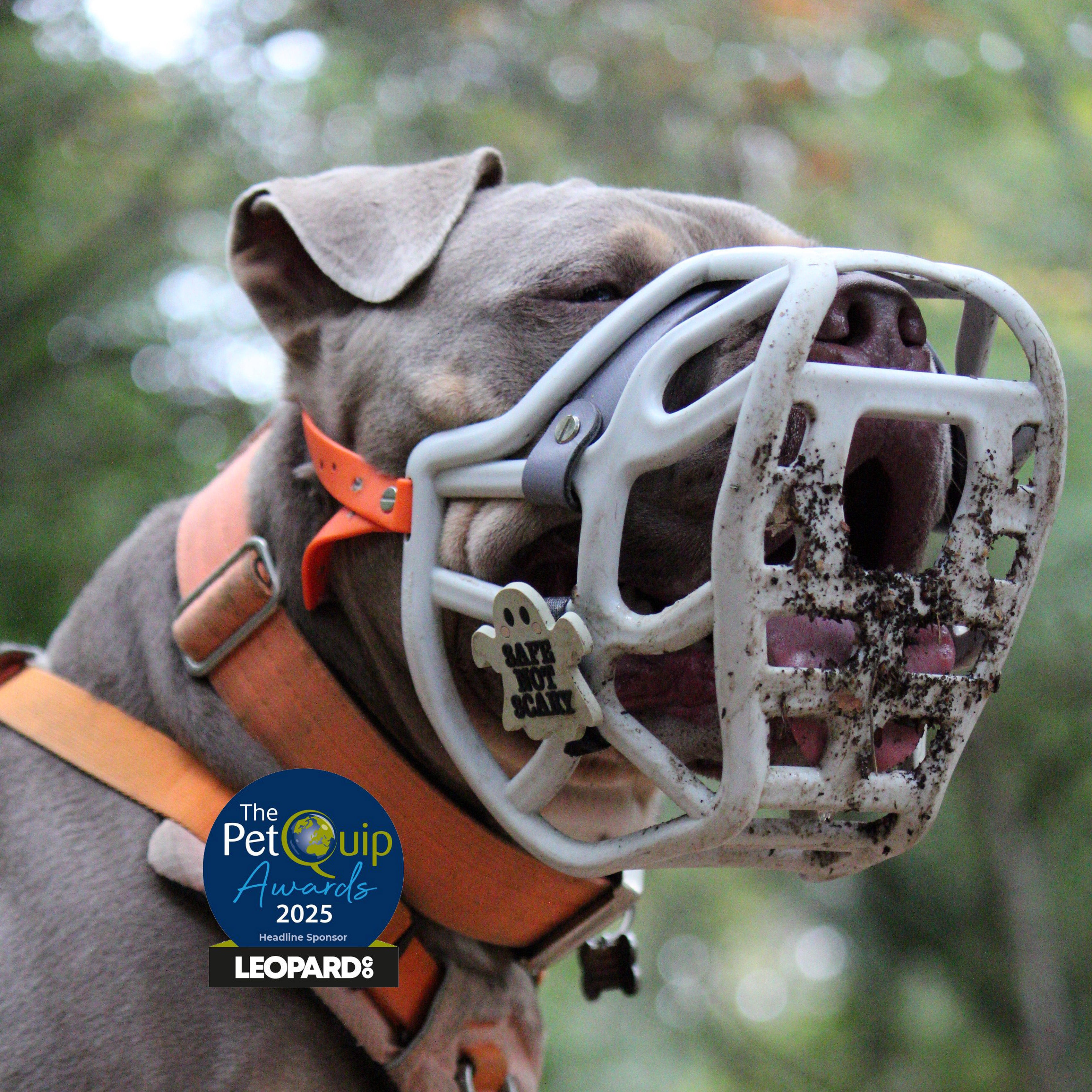 Size Harry 2.0 Dog Muzzle - Made to order muzzle with colour