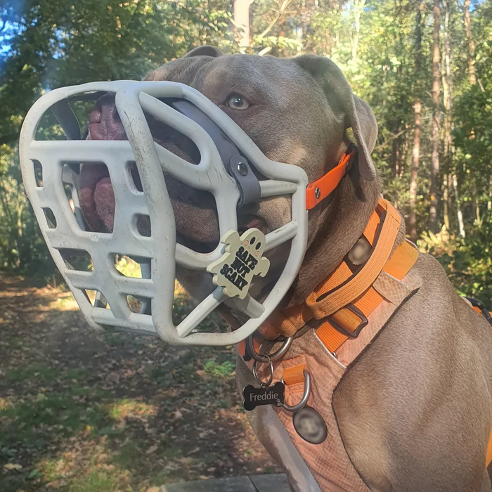 The Muzzle Movement Muzzle Friendly Dog Enrichment The Muzzle Movement Muzzle Friendly Dog Enrichment