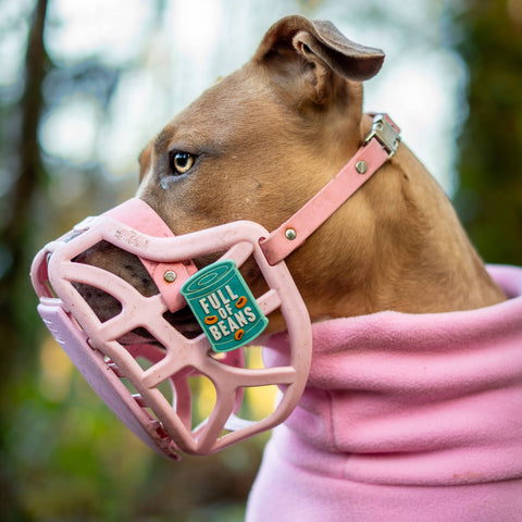 Snooties™ – Muzzle Charm