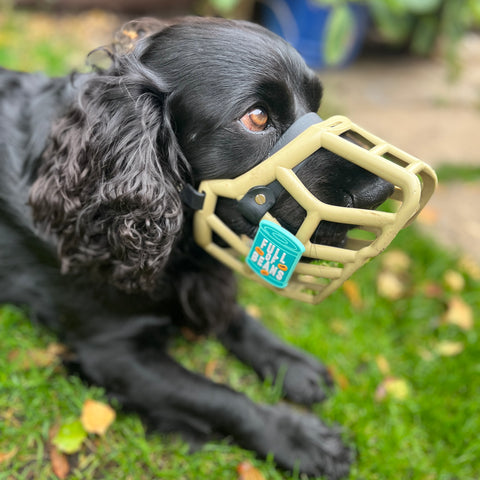 Snooties™ – Muzzle Charm