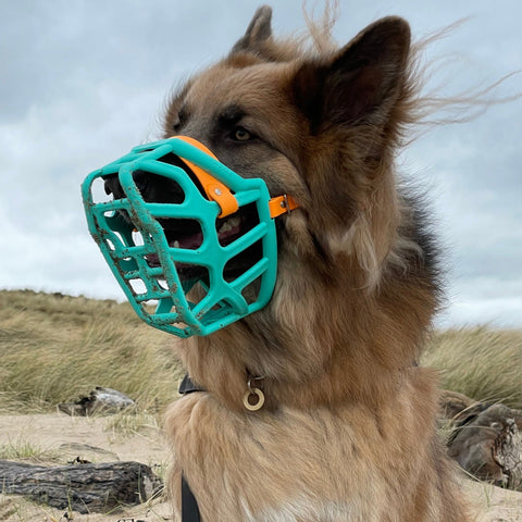 Size Taz Dog Muzzle - Made to order muzzle with colour customisation