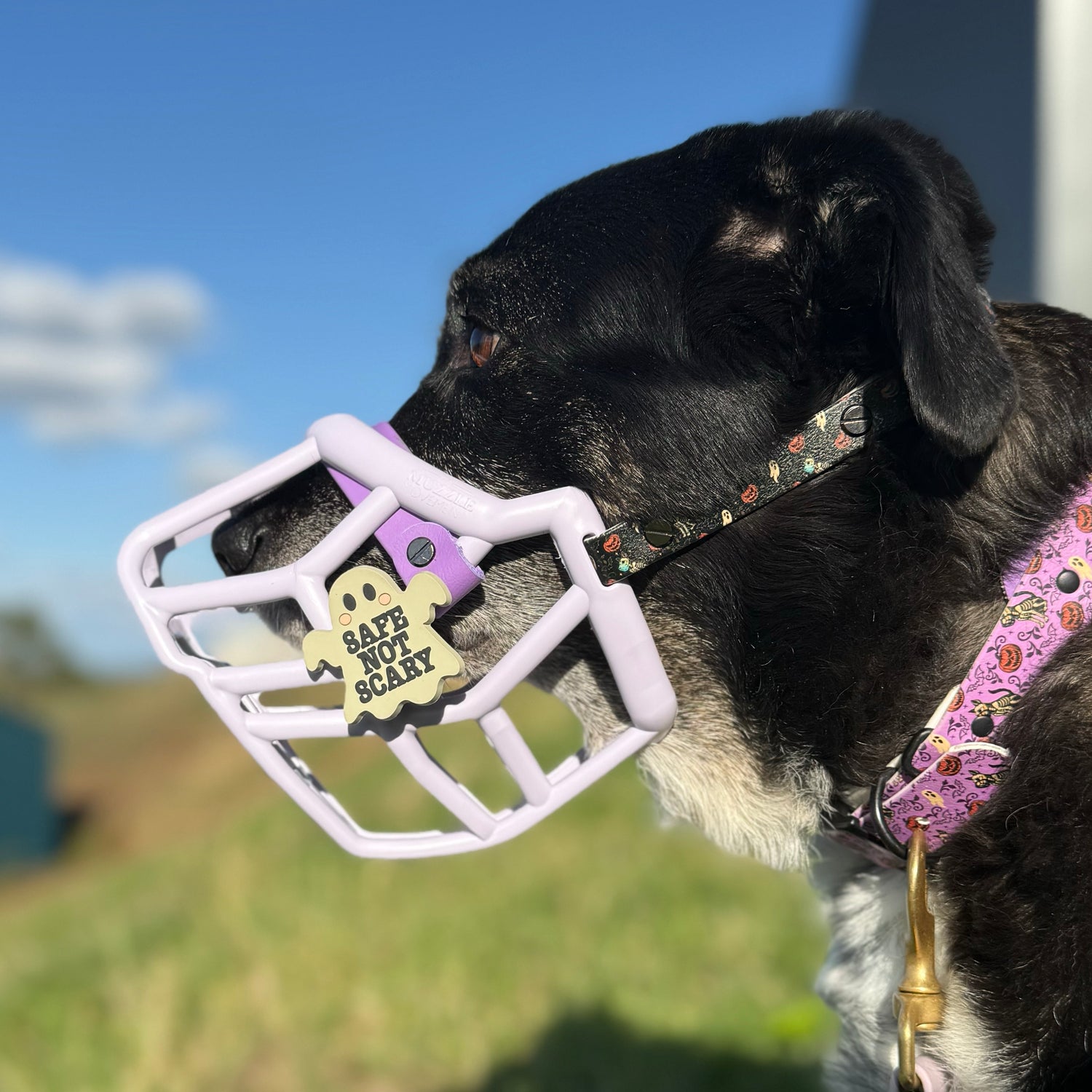 Snooties™ – Safe not Scary Muzzle Charm