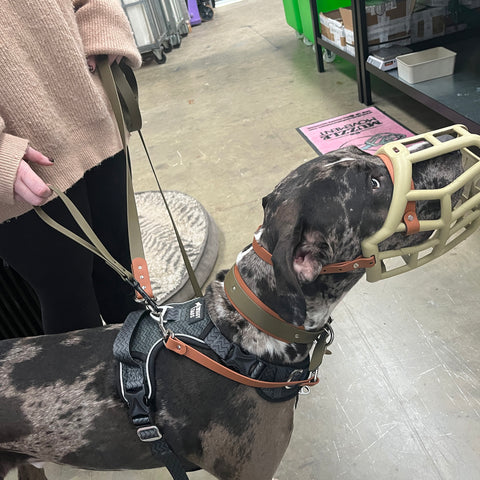 Safety accessories bundle for professionals