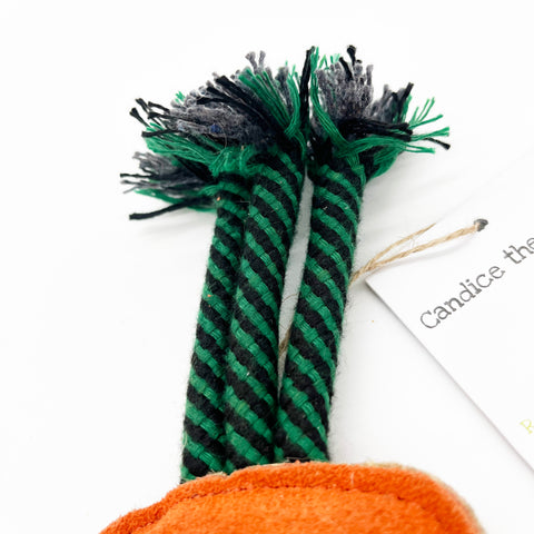 Green & Wild's | Candice the Carrot, Eco Dog Toy