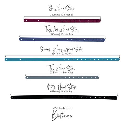 Head Strap
