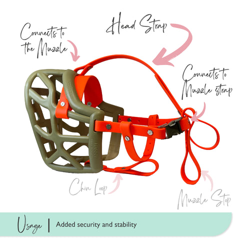 Head straps Bundle for Trade - Additional Safety Strapping for Muzzles