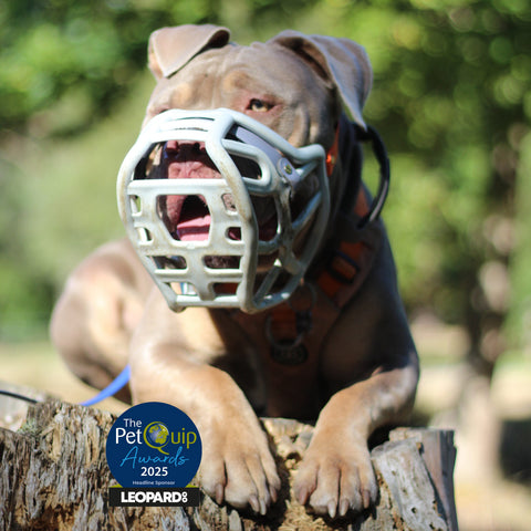 Size Harry 2.0 Dog Muzzle - Made to order muzzle with colour customisation