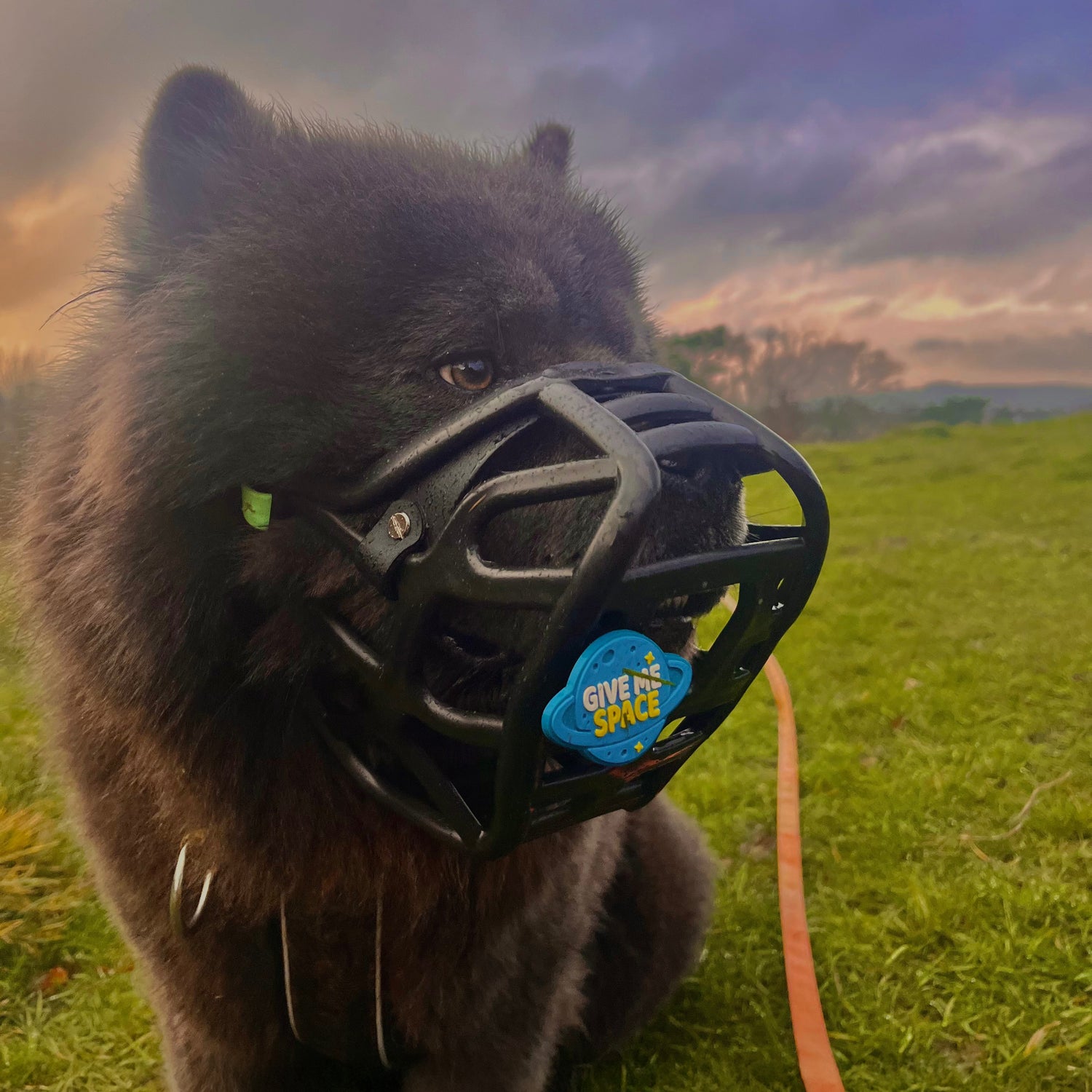 Snooties™ –  Give Me Space Blue Muzzle Charm