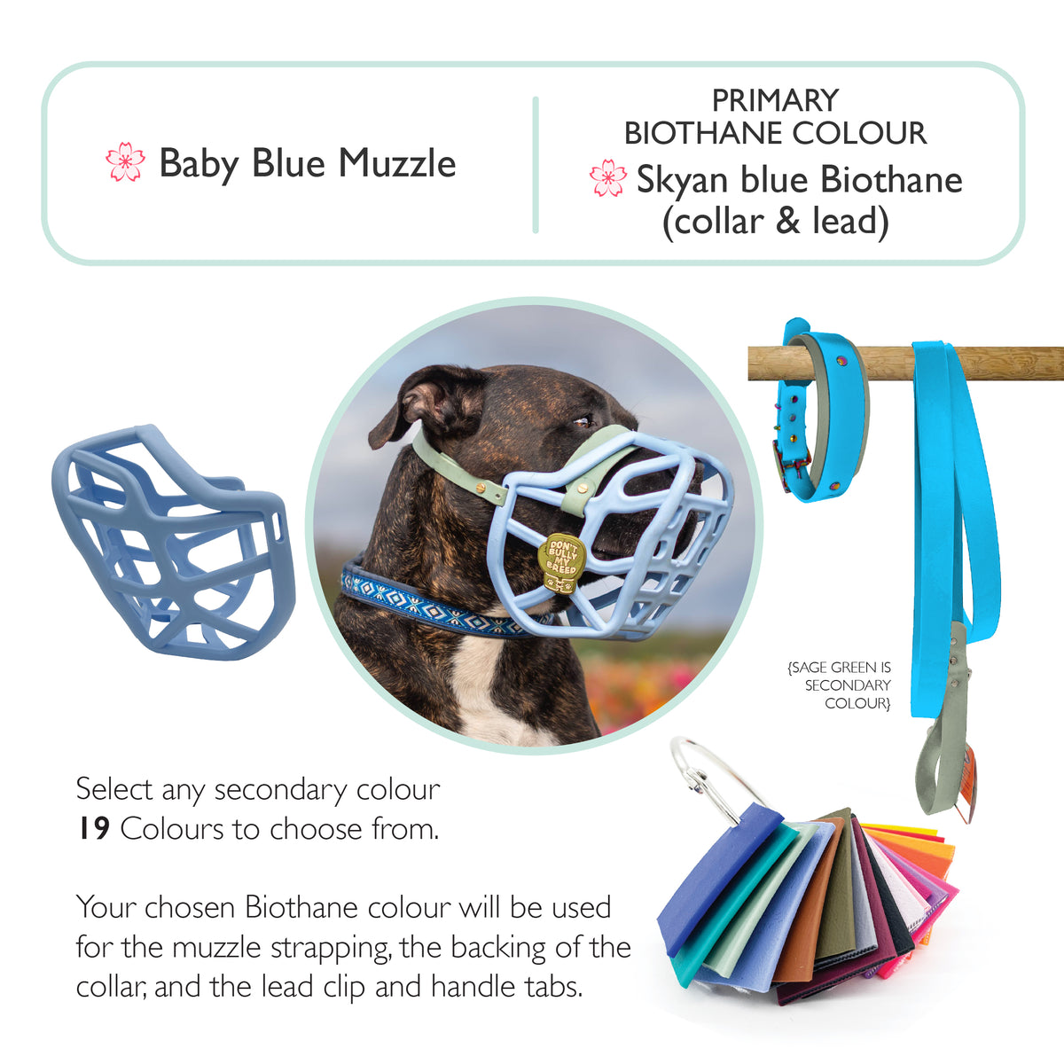 Harry 2.0 Muzzle Collar and Lead set
