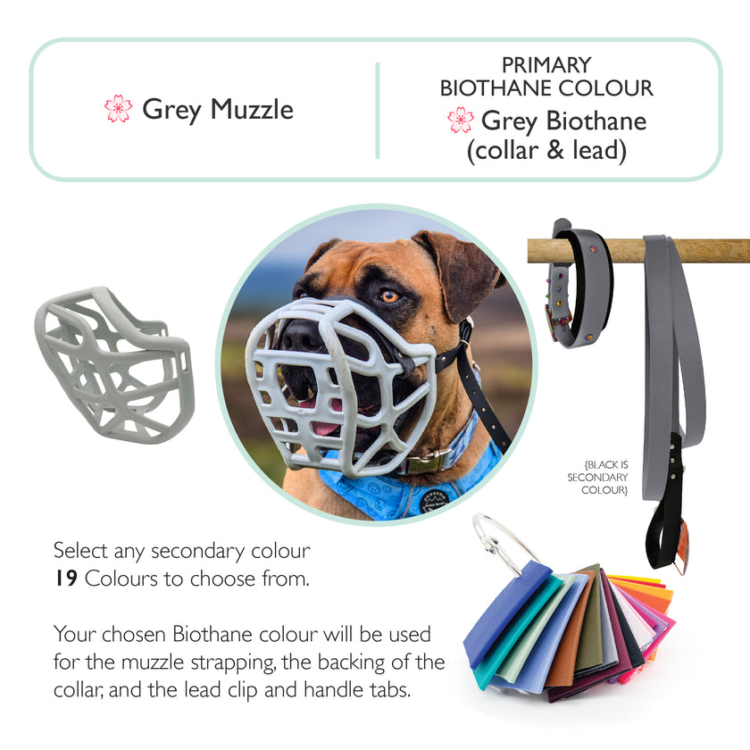 Harry 2.0* Muzzle Collar and Lead set