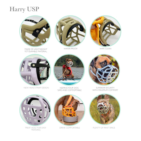 Taille Harry 2.0 - Muselière sur mesure avec personnalisation des couleurs