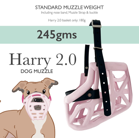 Taille Harry 2.0 - Muselière sur mesure avec personnalisation des couleurs