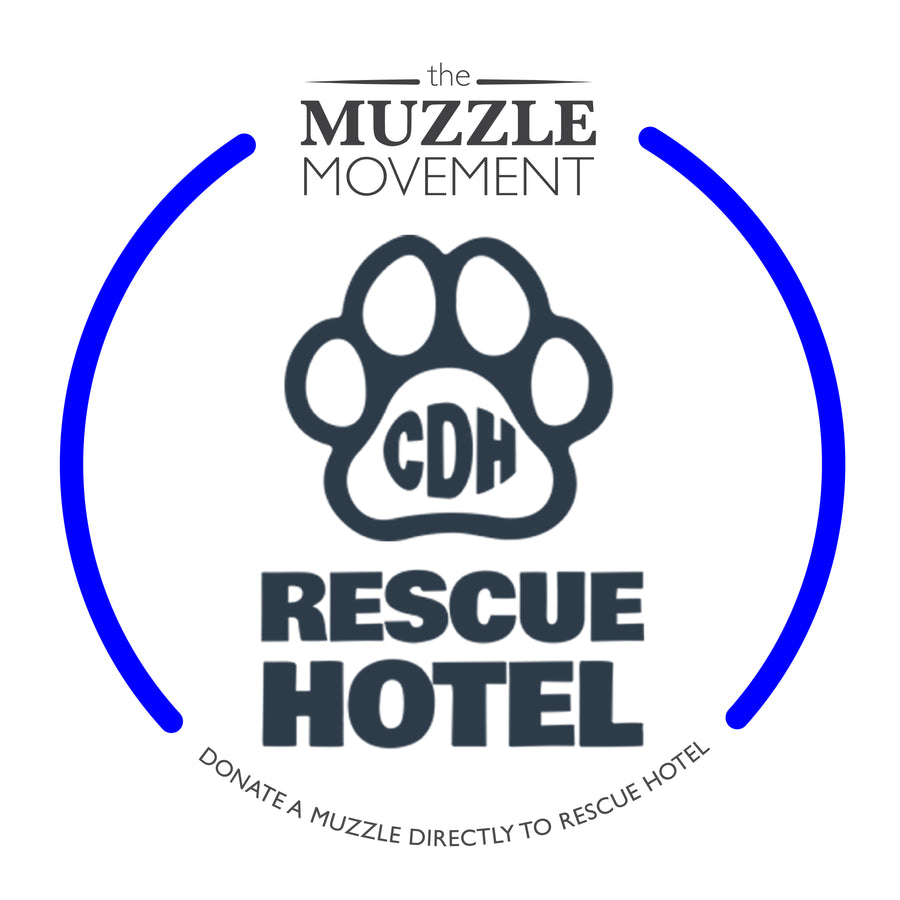 Charity Colour Muzzle – The Rescue Hotel - Ready to Ship