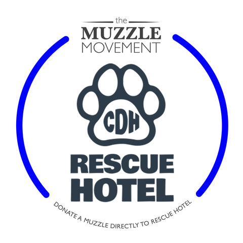 Charity Colour Muzzle – The Rescue Hotel - Ready to Ship