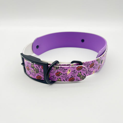 Halloween 2025 – Spookcellent Exclusive Dual Tone Collar