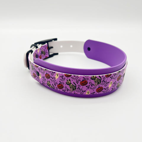 Halloween 2025 – Spookcellent Exclusive Dual Tone Collar