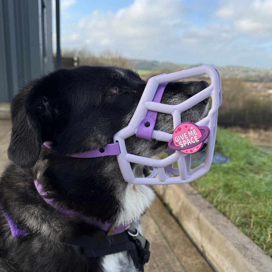 Snooties™ –  Give Me Space Pink Muzzle Charm