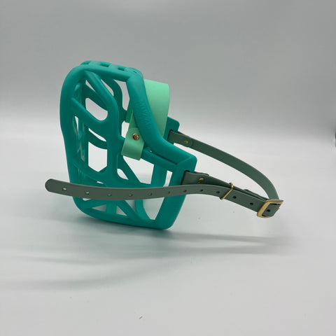 Discounted Harry original Dog Muzzle - ready to ship