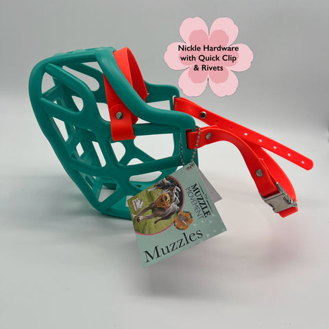 Size Harry 2.0 Dog Muzzle - Ready to ship