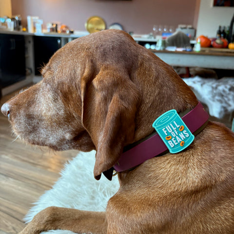 Snooties™ – Muzzle Charm