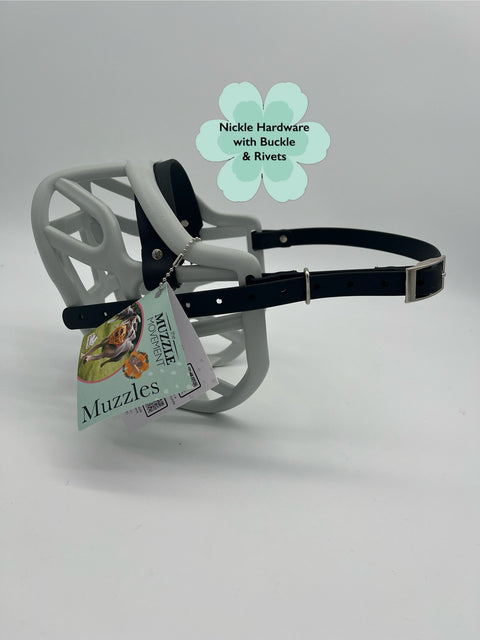 Size Harry 2.0 Dog Muzzle - Ready to ship