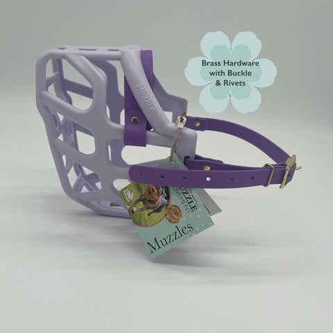 Size Taz Dog Muzzle- ready to ship