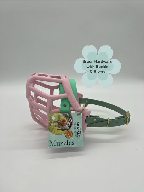 Size Tolly Dog Muzzle - ready to ship