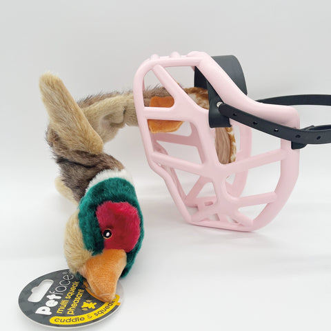 Petface | Multi-Squeak Pheasant – Plush Dog Toy