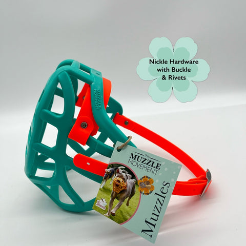 Teal and orange dog muzzle with a tag