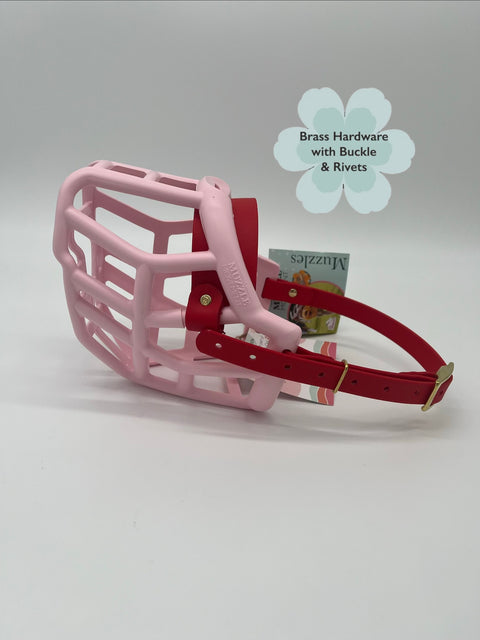 Size Tolly Dog Muzzle - ready to ship