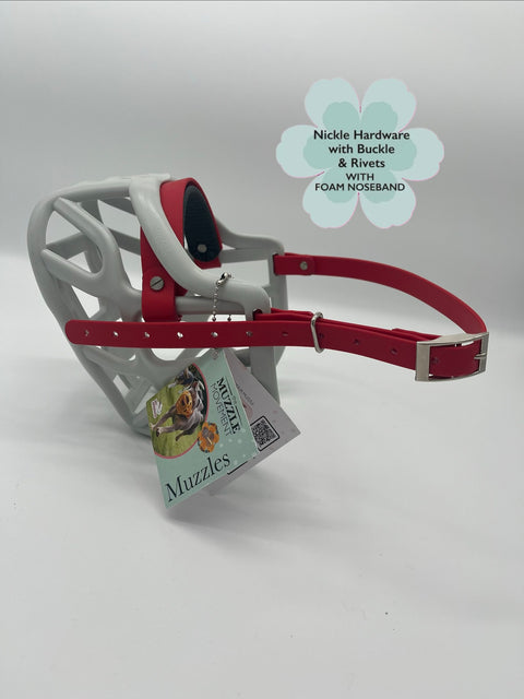 Size Harry 2.0 Dog Muzzle - Ready to ship