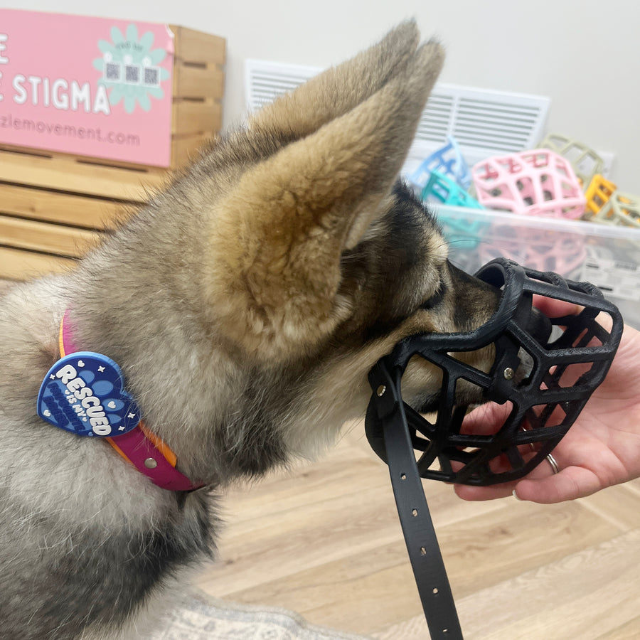 Snooties™ – Rescued Is My Favourite Breed Snootie Muzzle Charm