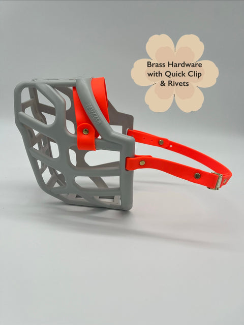 Size Taz Dog Muzzle- ready to ship