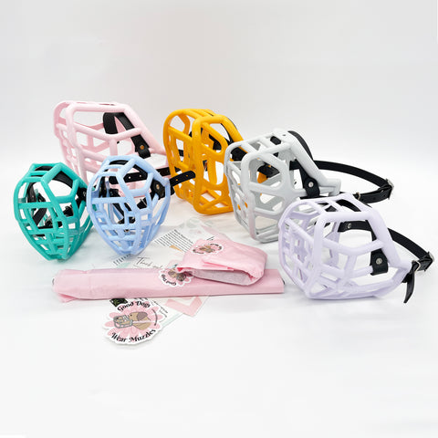 Canine Professional Size Bundle MULTI COLOURED BASKETS