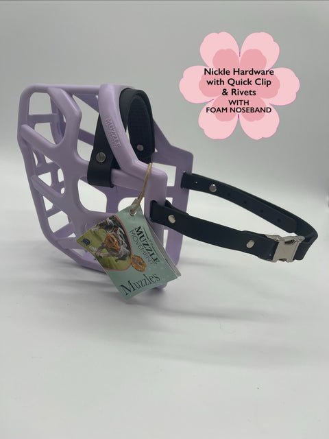Size Taz Dog Muzzle- ready to ship