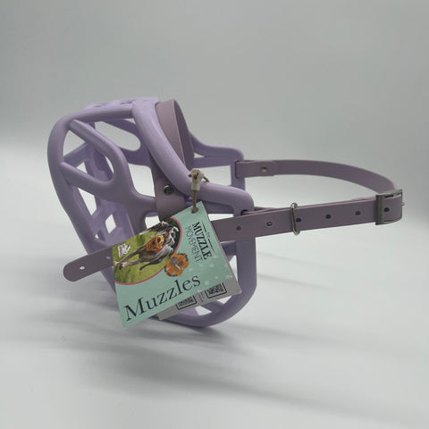 Size Harry 2.0 Dog Muzzle - Ready to ship