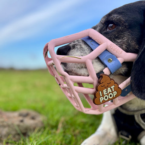 Snooties™ – Muzzle Charm