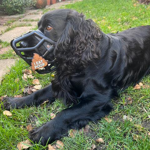 Snooties™ – Muzzle Charm