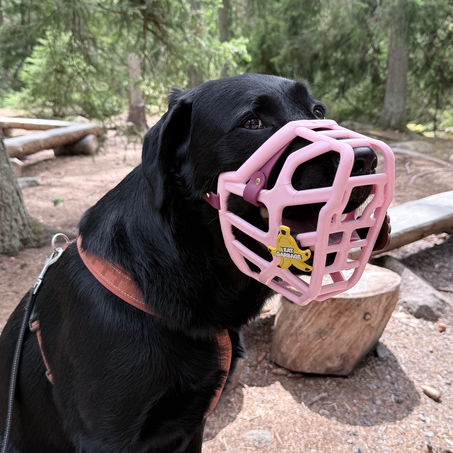 Snooties™ – I Eat Garbage Banana Muzzle Charm
