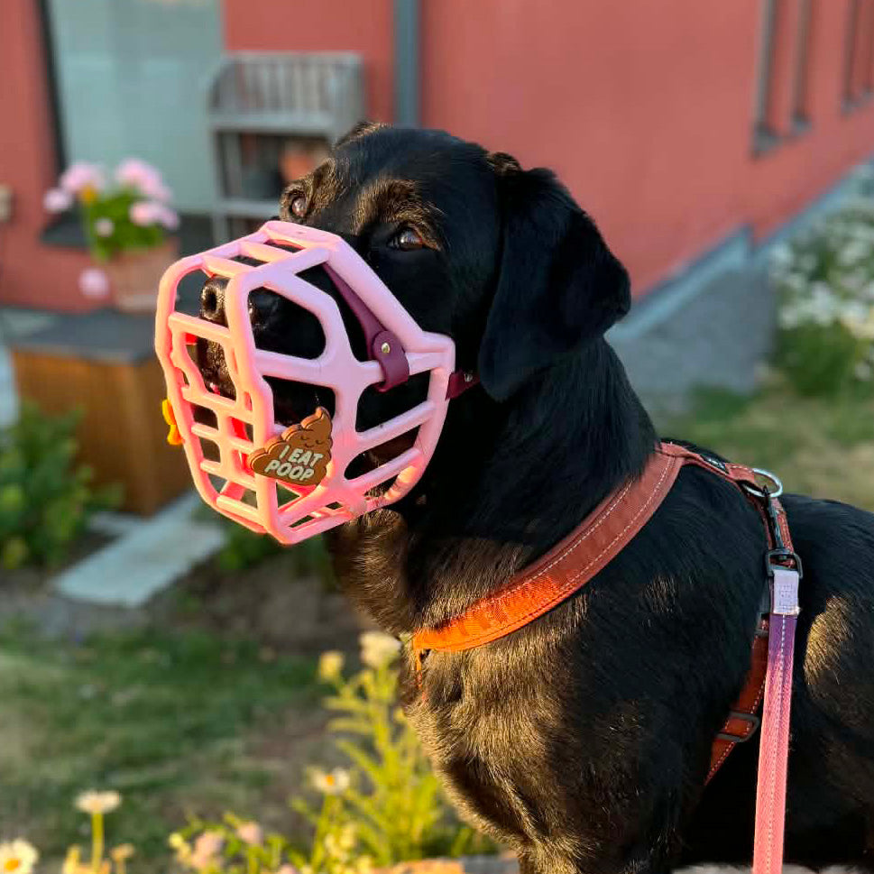 Snooties™ –    I Eat Poop Snootie Muzzle Charm