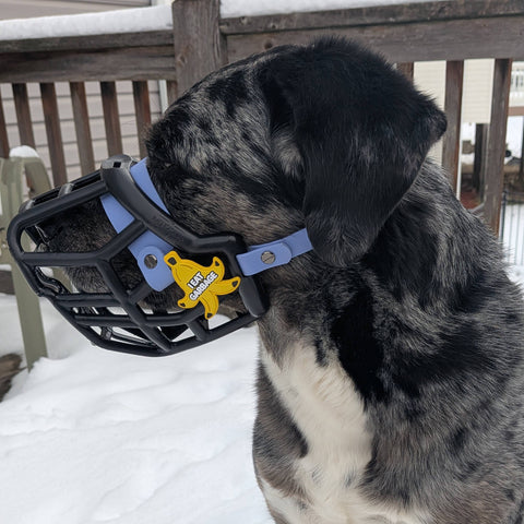 Snooties™ – Muzzle Charm