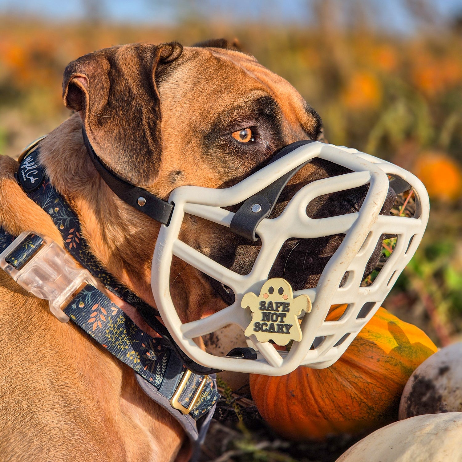 Snooties™ – Safe not Scary Muzzle Charm