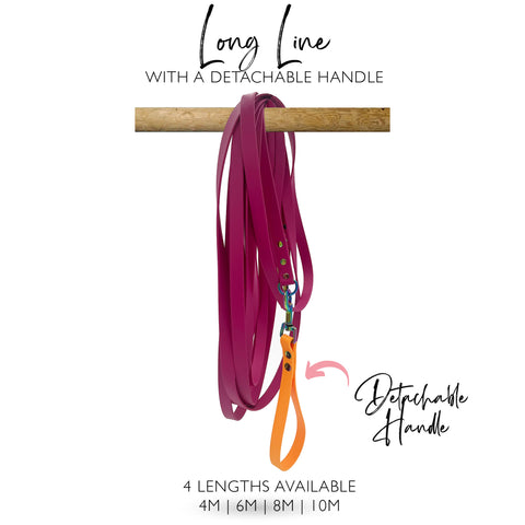 Ligne longue Biothane - Poignée amovible - pour le commerce