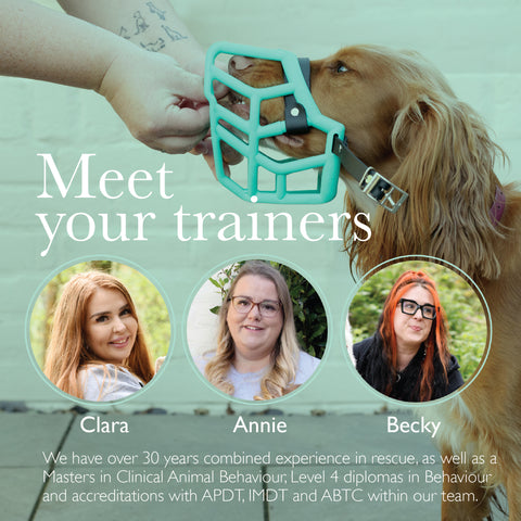 The Complete Dog Muzzle Training Course - Standard