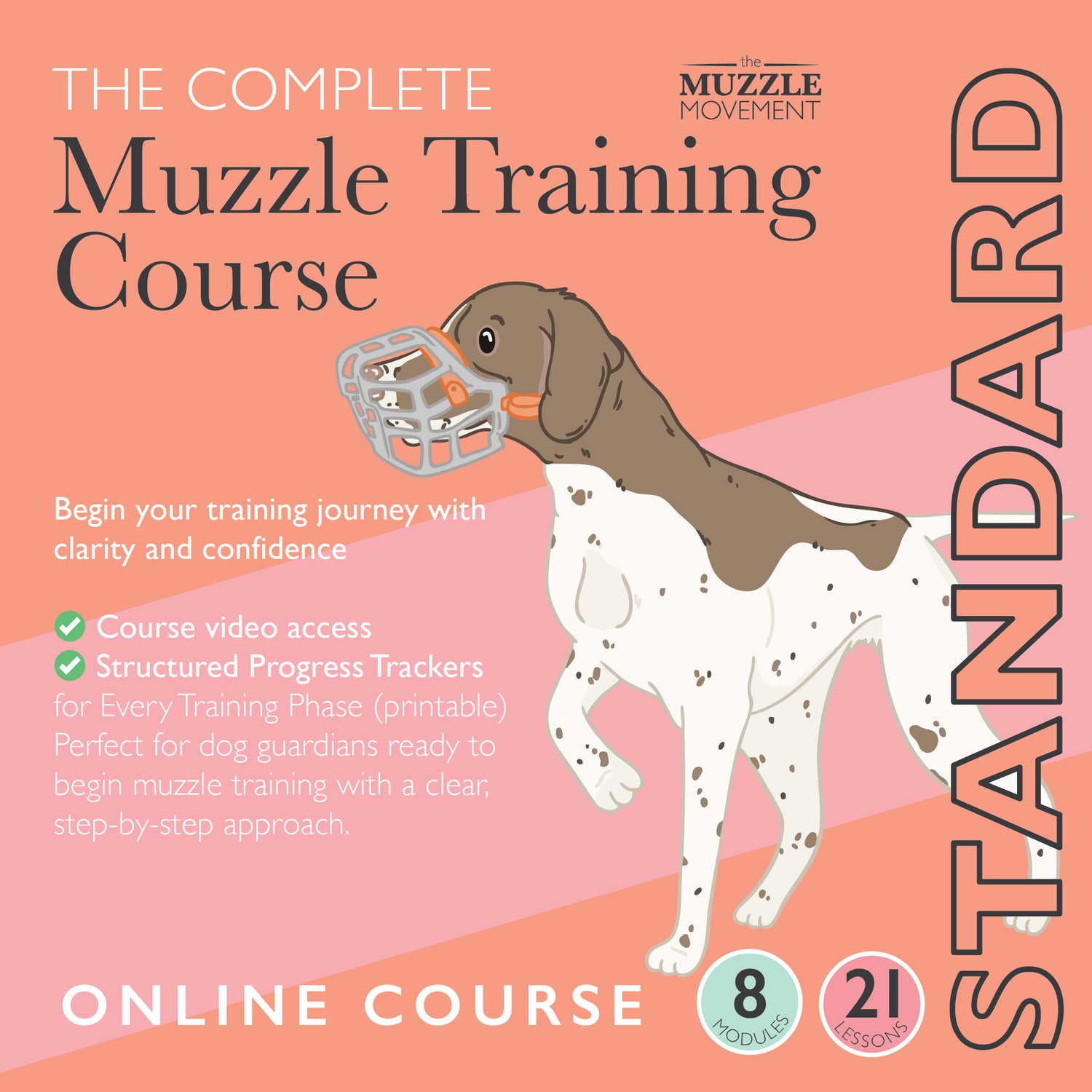 Cours complet de dressage de muselières - Standard